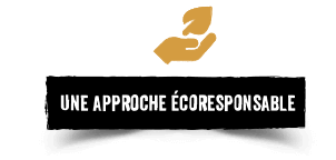 Une approche écoresponsable